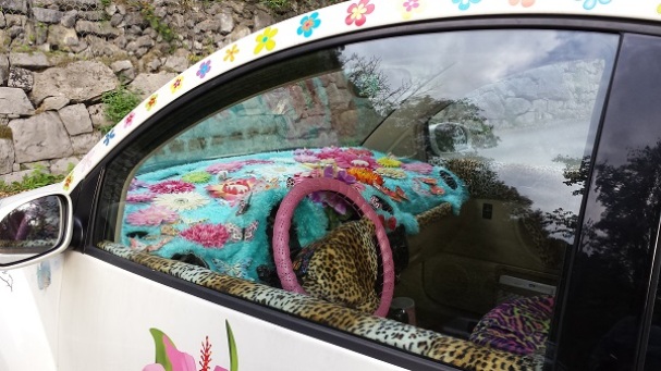 Flower power: On the way we spot a very creatively decorated Volkswagen Beetle
